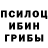 Галлюциногенные грибы Cubensis Kevin Shori