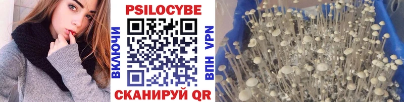 Купить где  Волжск  Галлюциногенные грибы мухоморы 